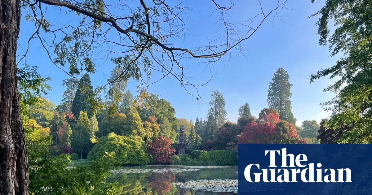 ‘Fiery and spectacular’ rainbow of autumn colour set to bloom across UK | Gardens